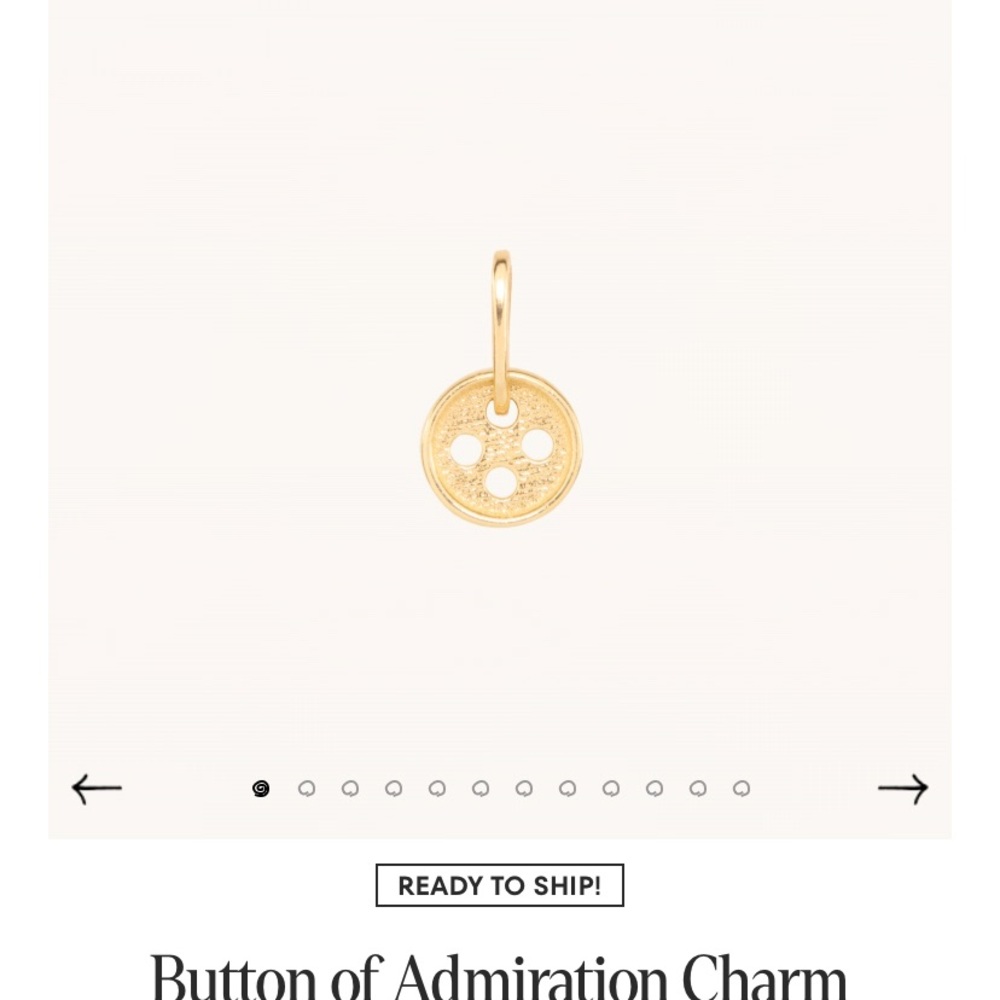 NWT • Jenny slate x catbird charm
